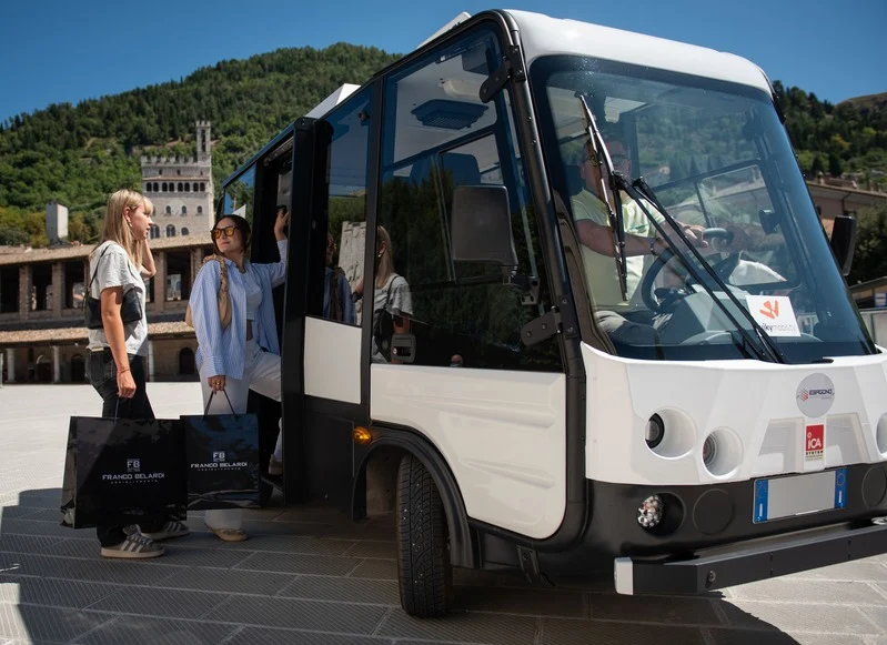 Veicolo elettrico Wiky Service